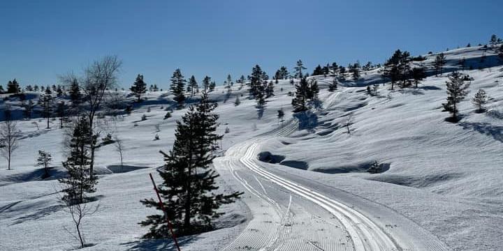 Bilde/illustrasjon om Krågeland velforening